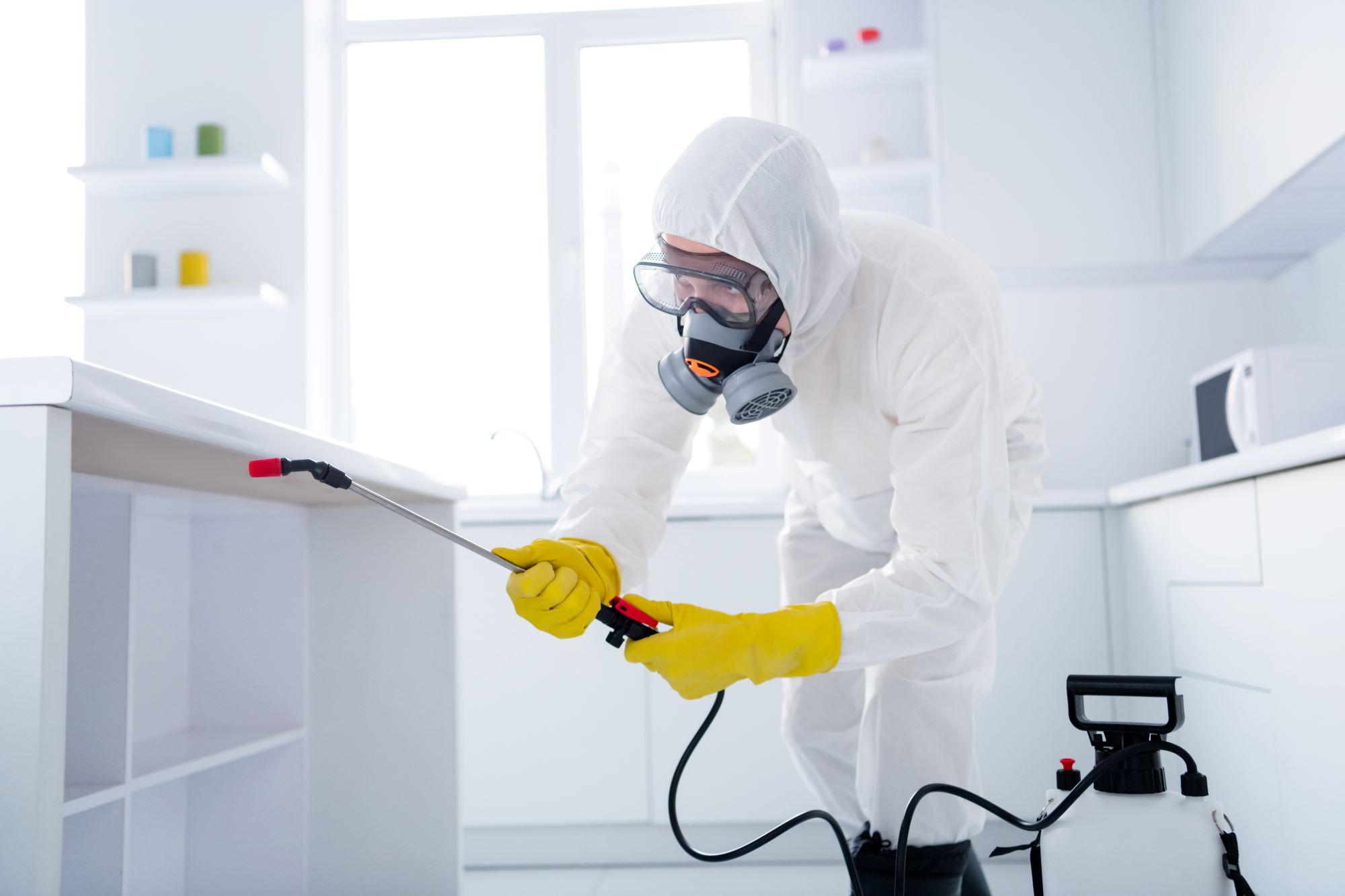 https://morganhillpest.com/